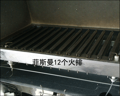 武漢菲斯曼壁掛爐