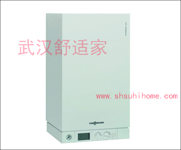 武漢菲斯曼鍋爐