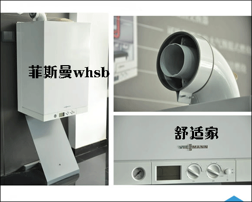 內(nèi)置水箱壁掛爐