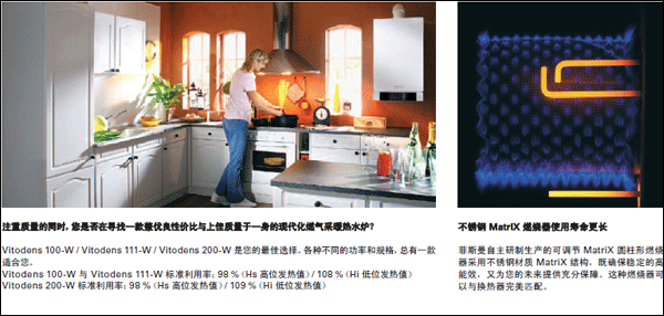 菲斯曼WB1C優點