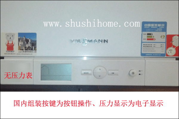 菲斯曼國內組裝鍋爐
