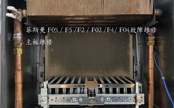 菲斯曼F5故障維修