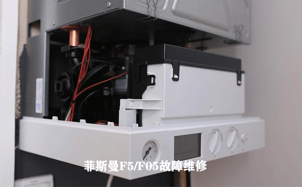 菲斯曼F5故障維修